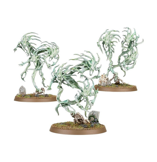 Warhammer Age Of Sigmar Nighthaunt: Spirit Hosts