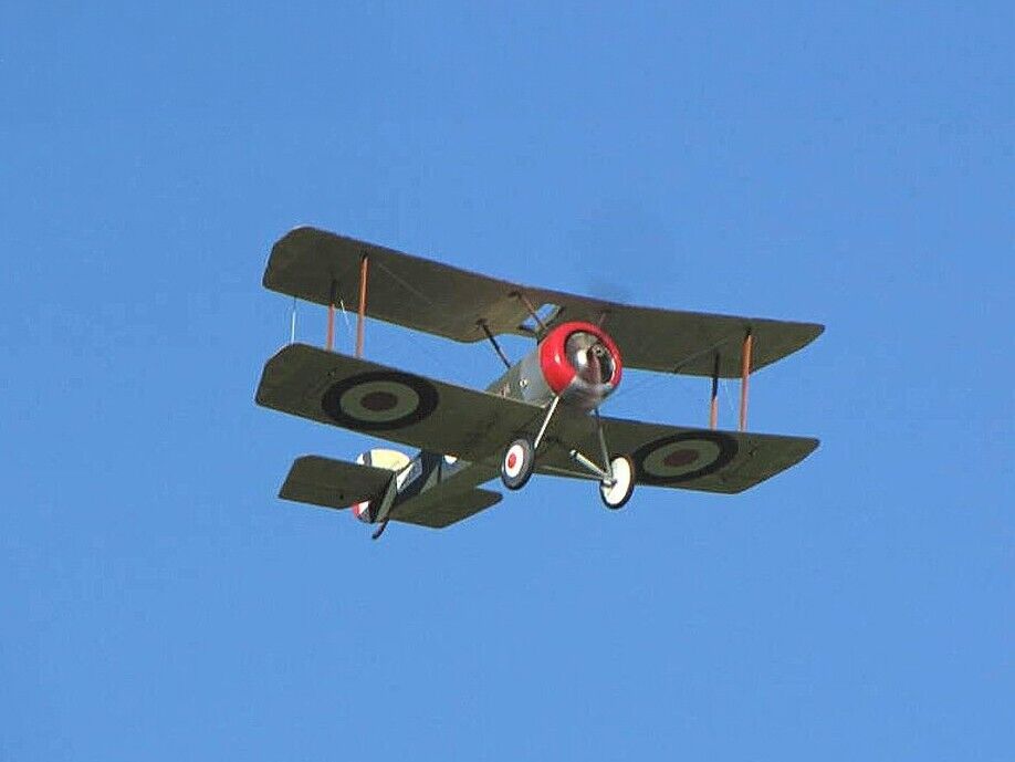 Belair Scale Kits Sopwith Pup 36" Electric Scale Kit RC Aircraft A-BA021