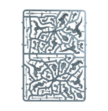 Warhammer Age Of Sigmar Spearhead: Seraphon - Sunblooded Prowlers