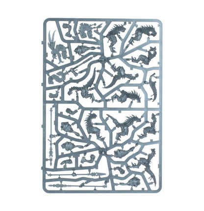 Warhammer Age Of Sigmar Spearhead: Seraphon - Sunblooded Prowlers