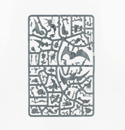 Warhammer Age Of Sigmar Spearhead: Seraphon - Sunblooded Prowlers