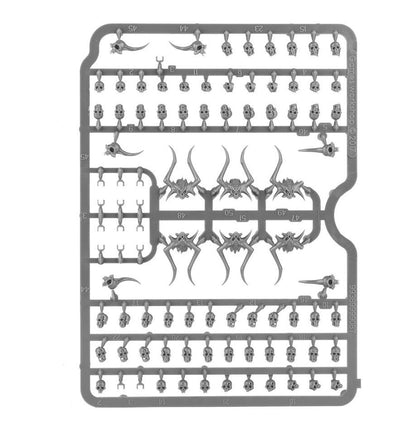 Warhammer Age Of Sigmar / 40,000 Citadel Skulls
