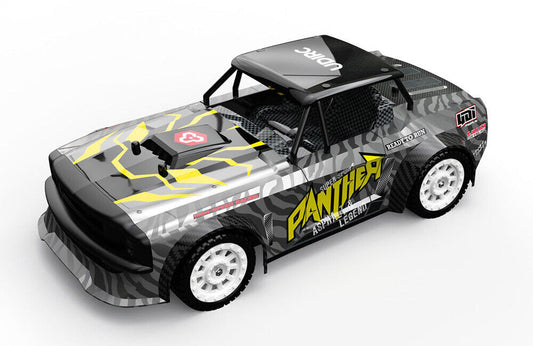 Udi Panther Brushed 1/16th 4WD 2.4GHz w/ESP C-U1602 RC Basher Car