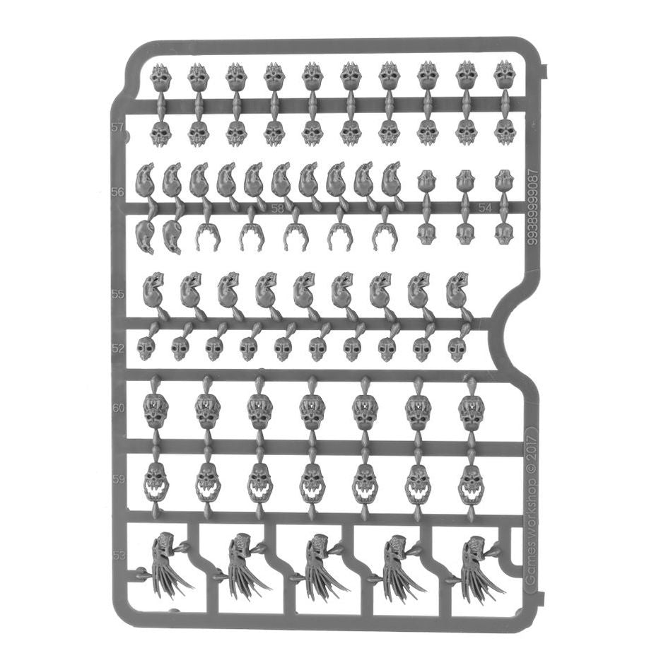 Warhammer Age Of Sigmar / 40,000 Citadel Skulls