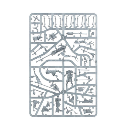 Warhammer Age Of Sigmar Cities Of Sigmar: Freeguild Fusiliers