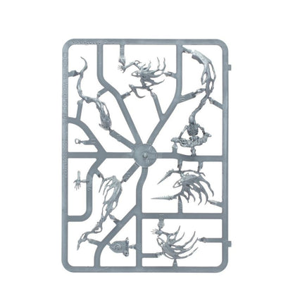 Warhammer Age Of Sigmar Nighthaunt: Spirit Hosts