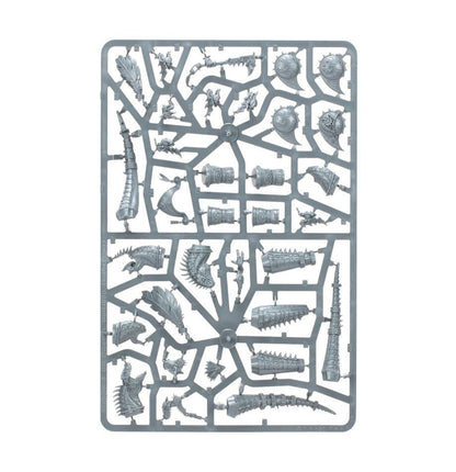 Warhammer Age Of Sigmar Seraphon: Aggradon Lancers