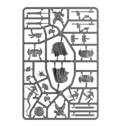 Warhammer Age Of Sigmar Stormcast Eternals: Dracothian Guard