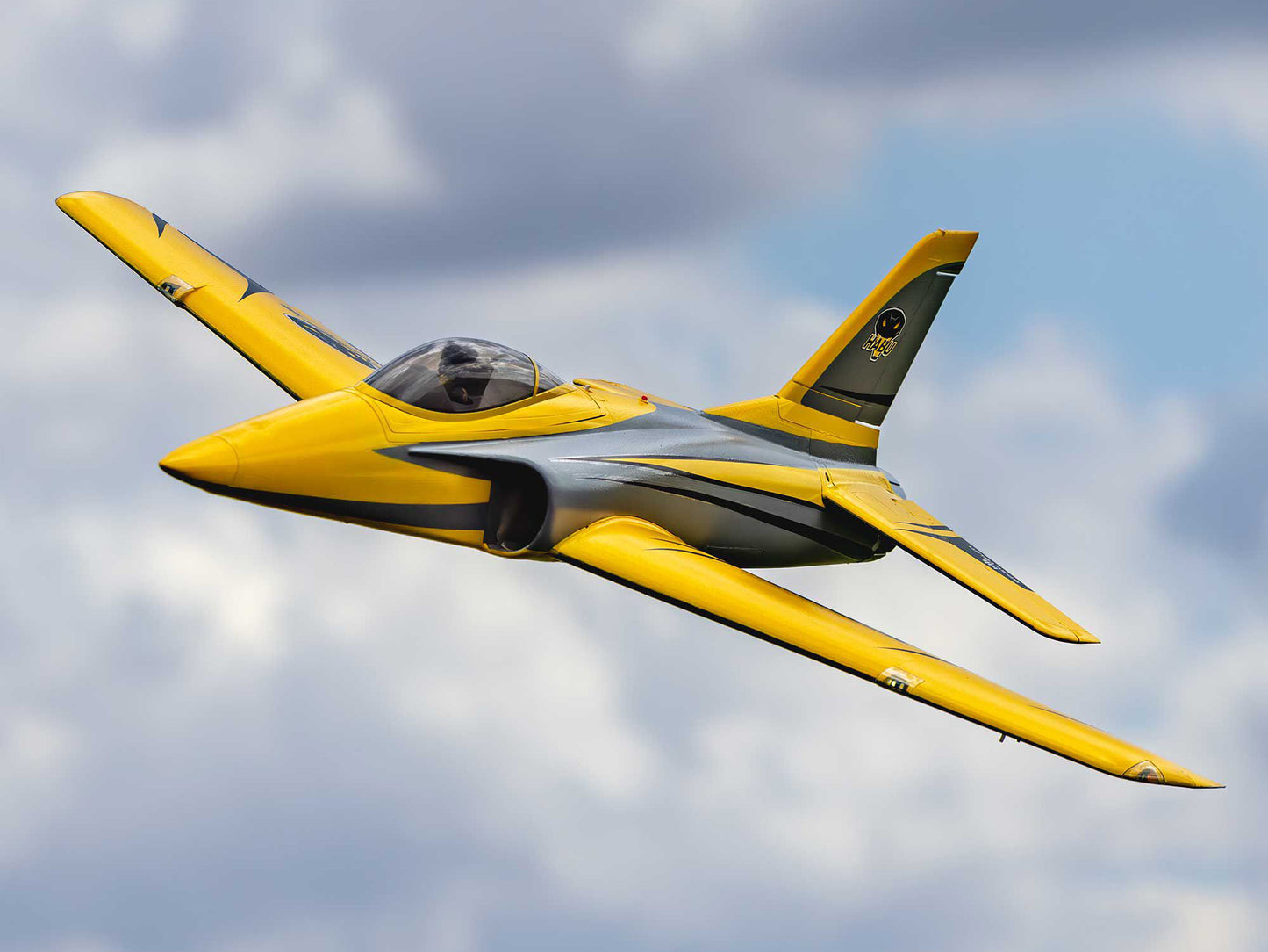 E-flite Habu XS (eXtra Sport) 80mm EDF BNF Basic with AS3X+ and SAFE A-EFL02450