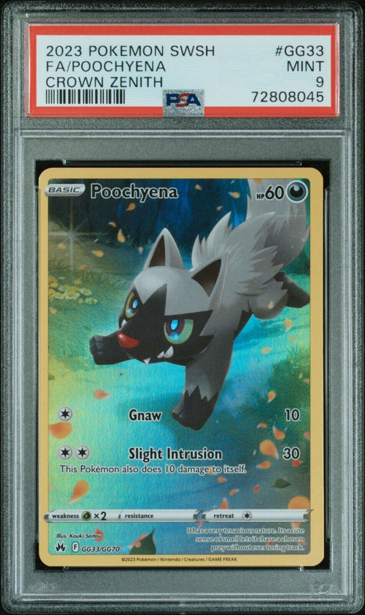 Graded Pokemon Cards Gliders & Racing Models Graded Pokemon Cards Gliders & Racing Models